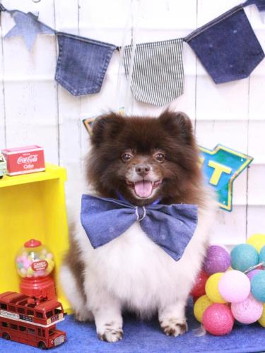 20230427太郎くん